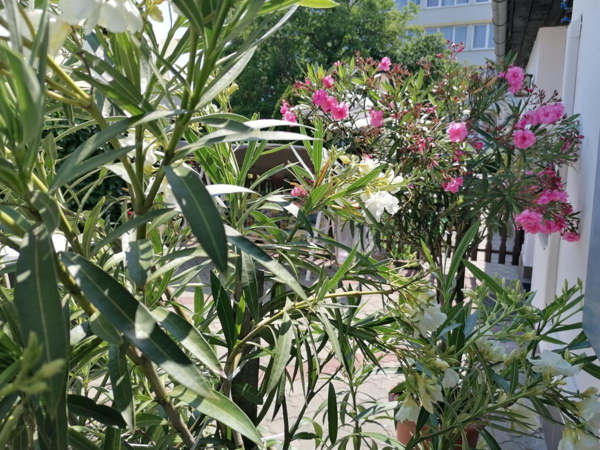 מלון אגר Kertesz Vendeghaz מראה חיצוני תמונה
